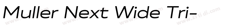 Muller Next Wide Tri字体转换